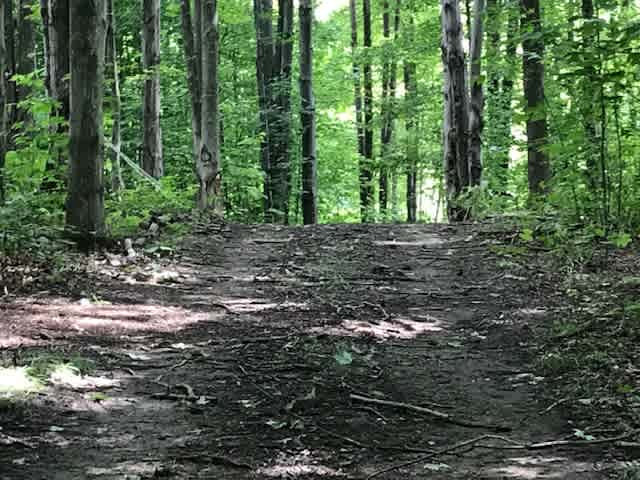Scenic View