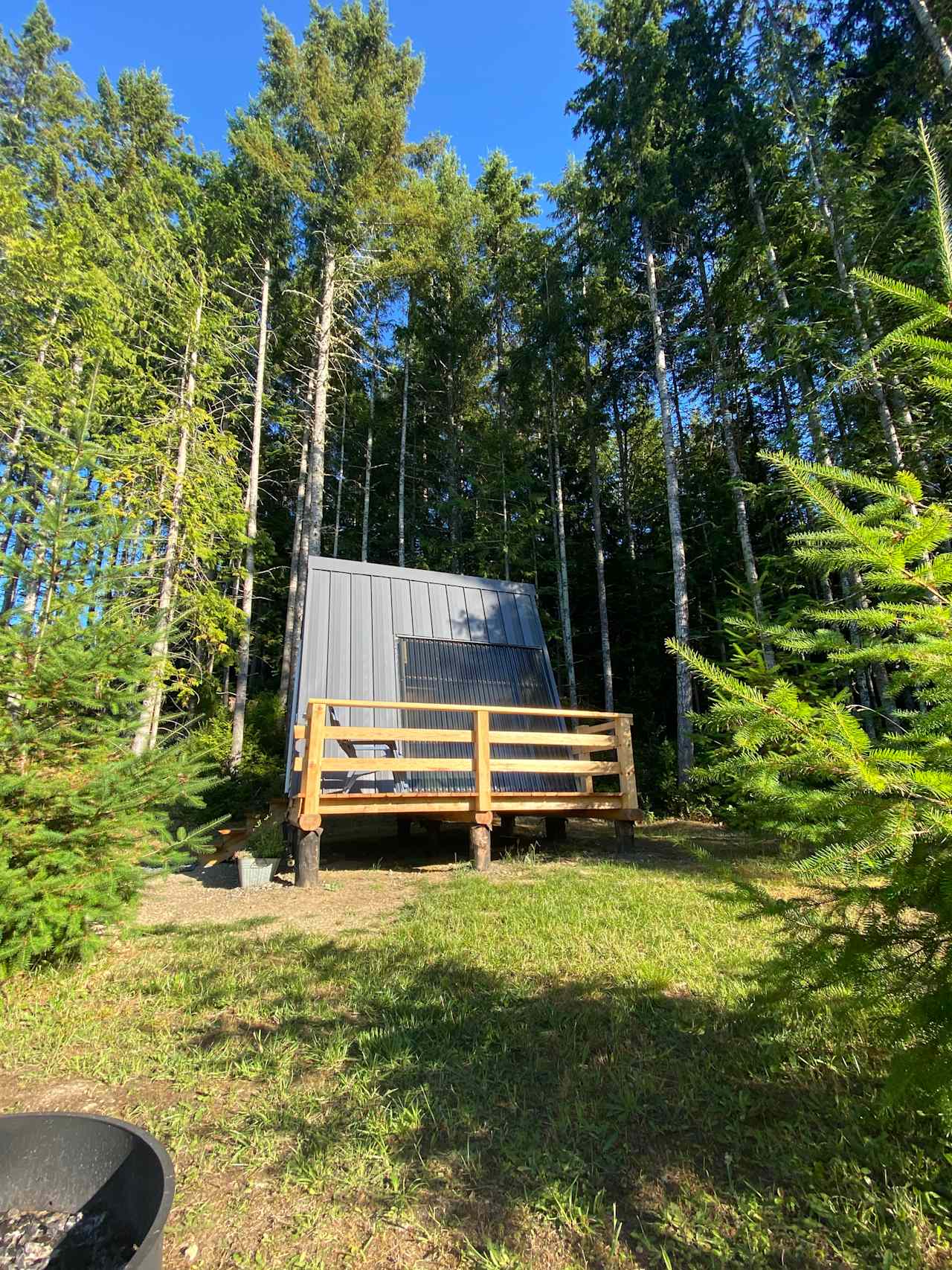 Nestled right in the trees...