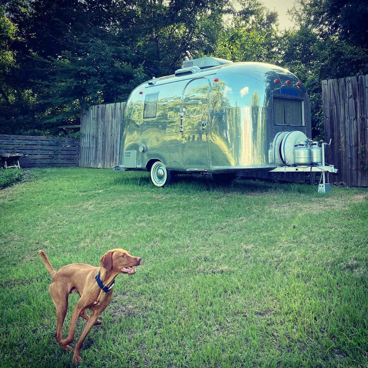 Silver Linings Camping