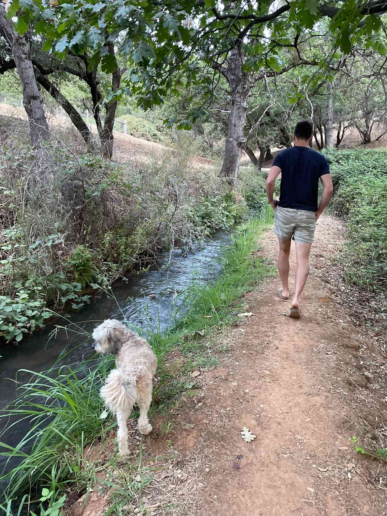 Animal Lovers Paradise