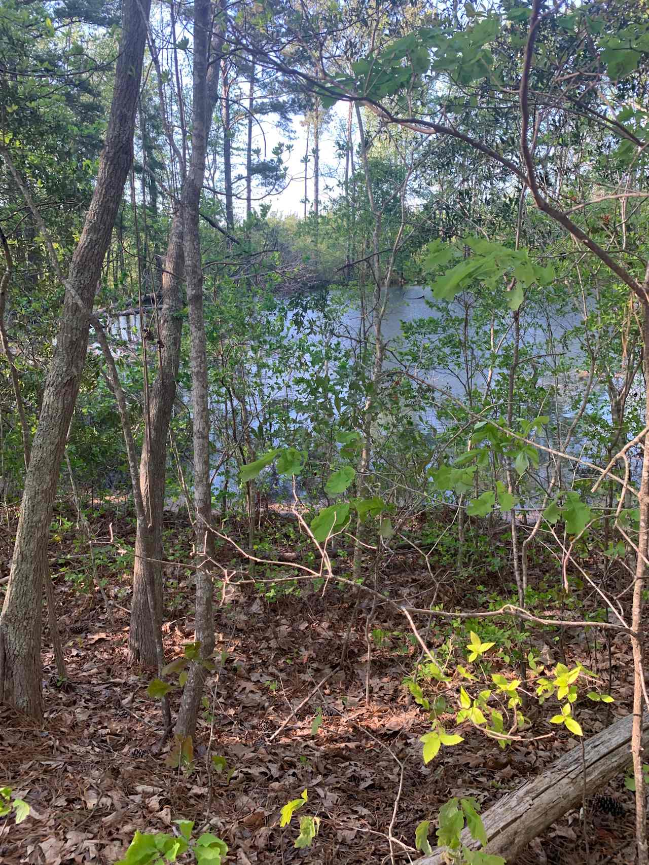 Rural.. thousands of acres behind to explore