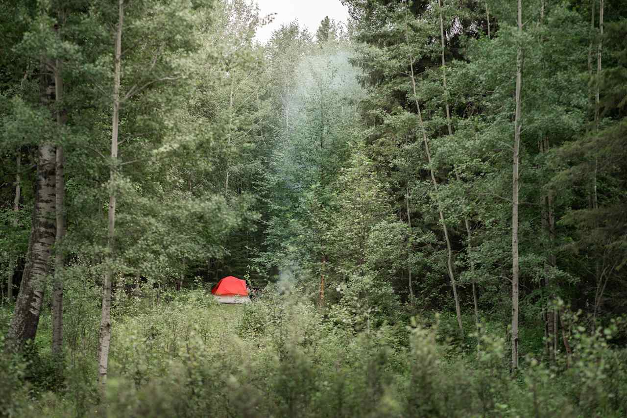 Tenting friends!