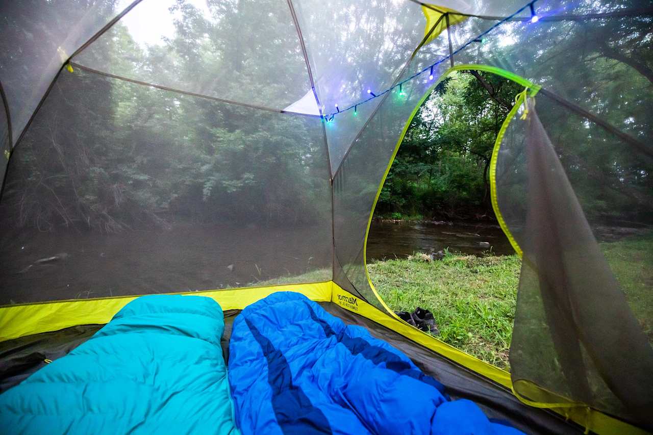 This could be you