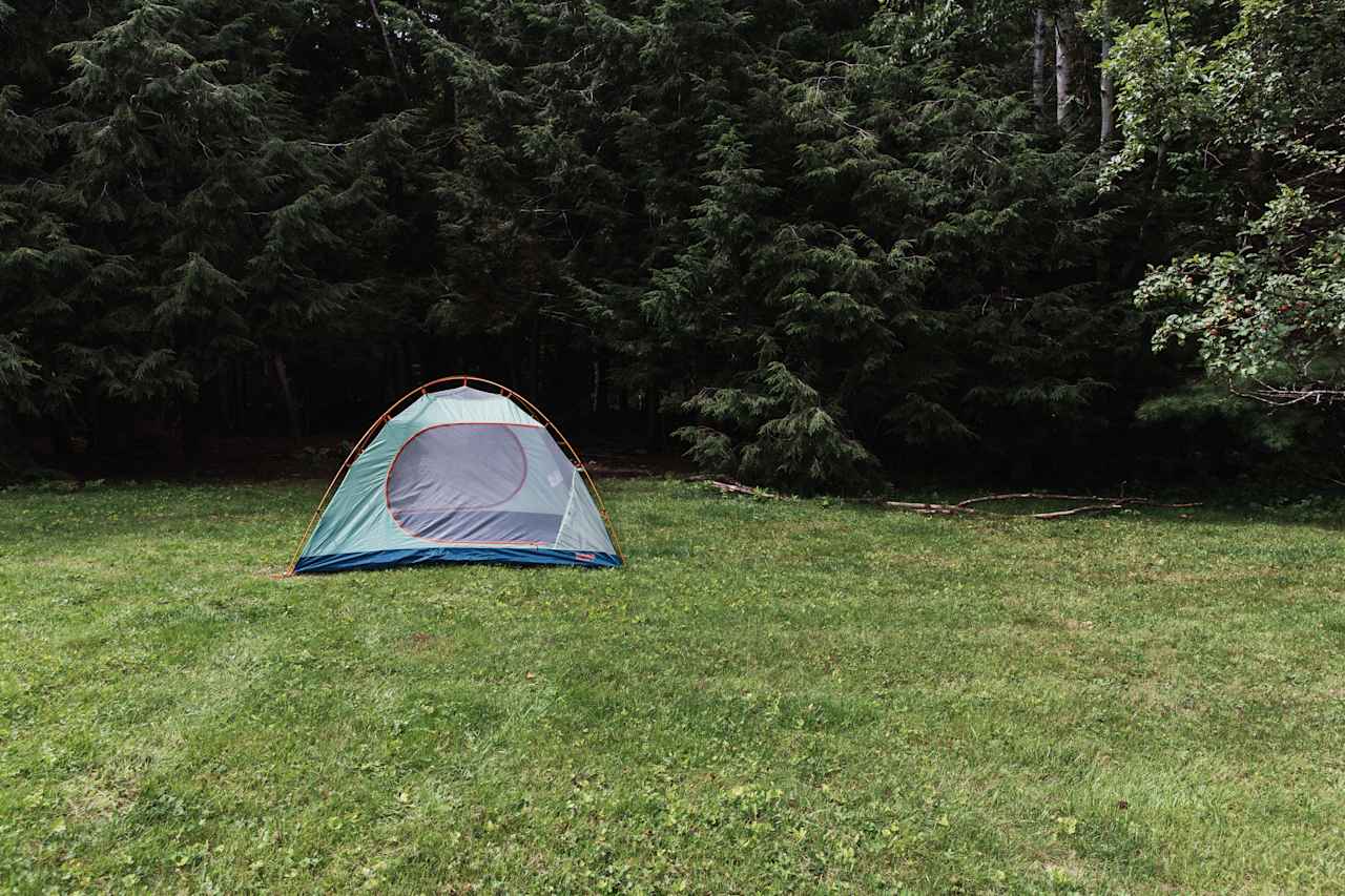 Expansive view, but tucked into the trees: my favorite combination. 