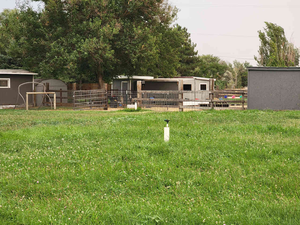 JenEric Alpaca Ranch