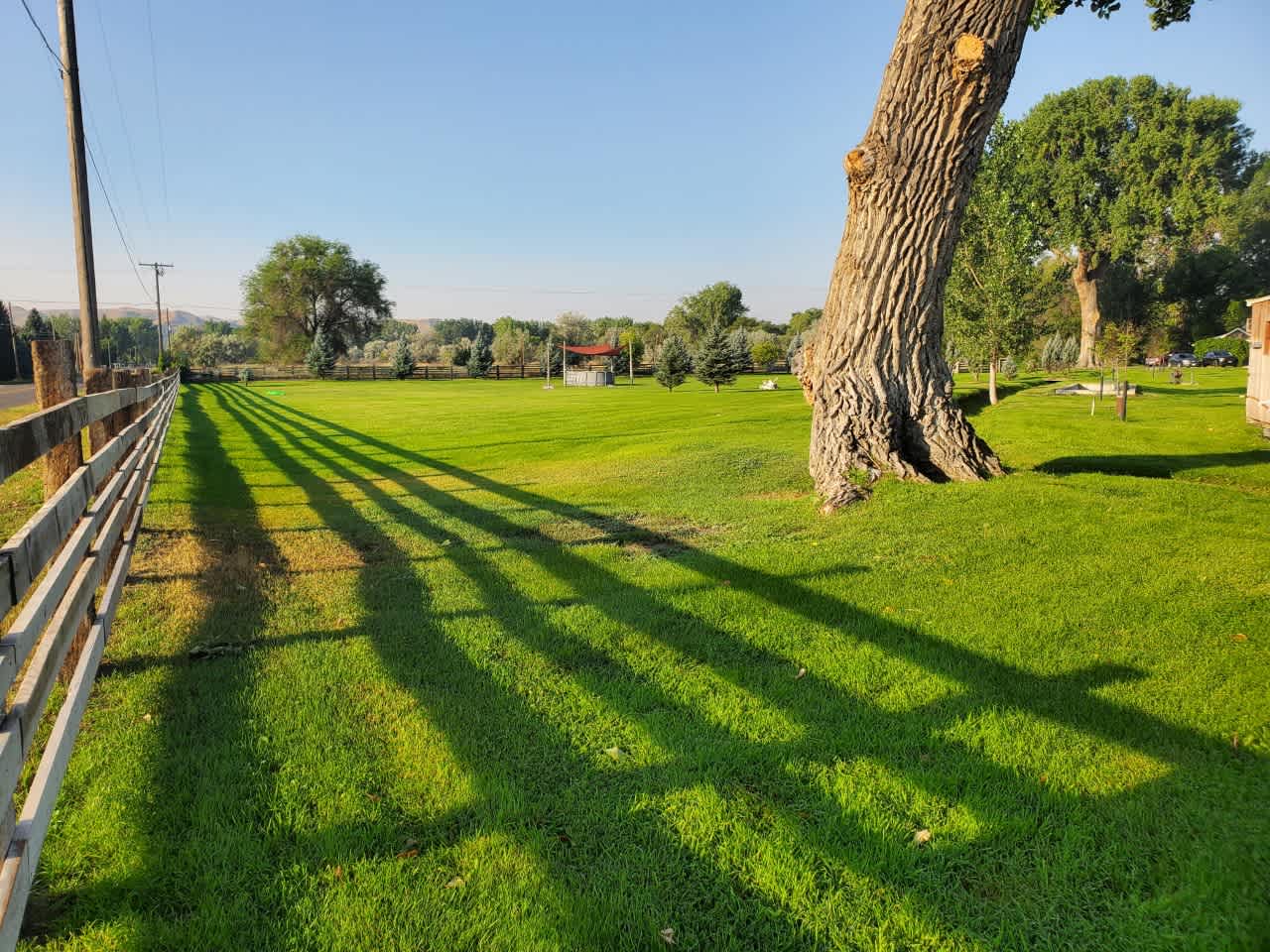 Looking south from the entrance into property