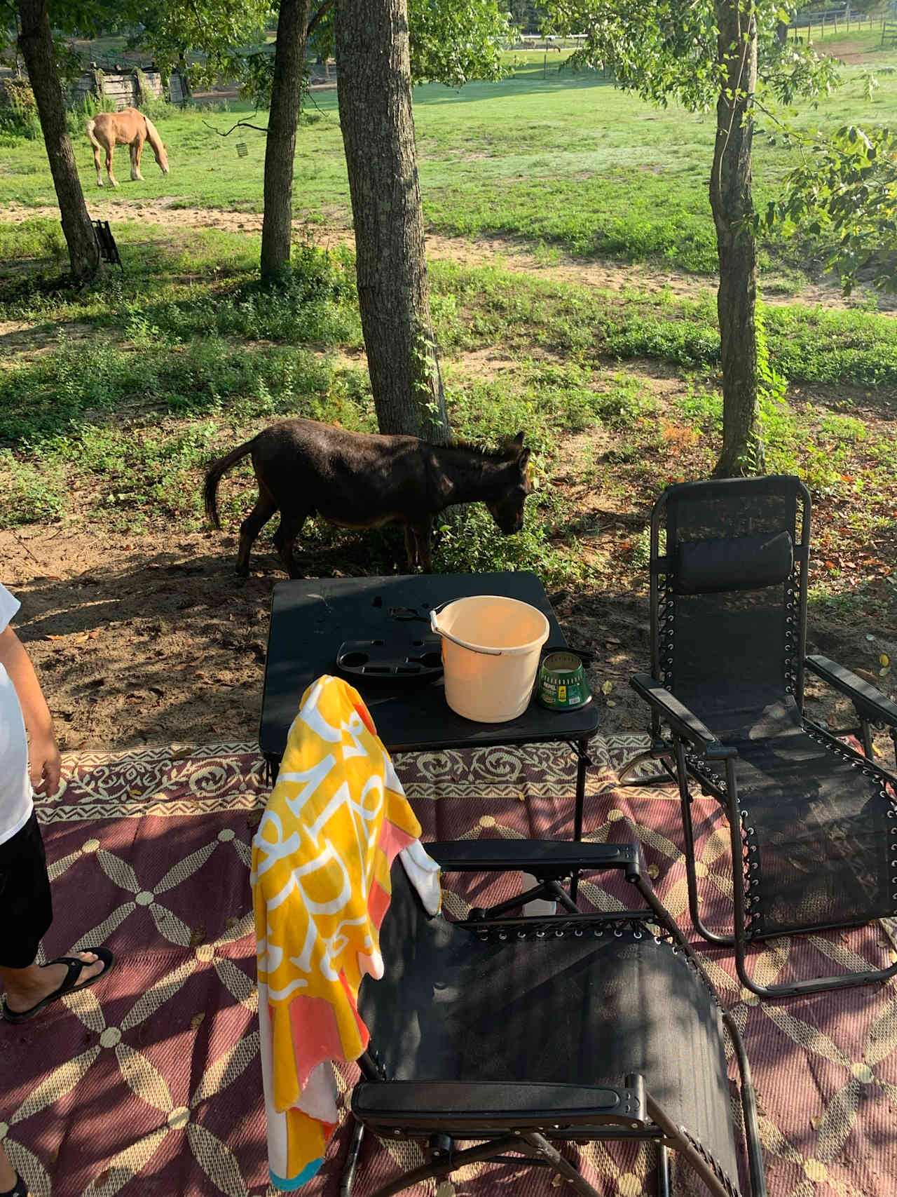 Silk Purse Farm