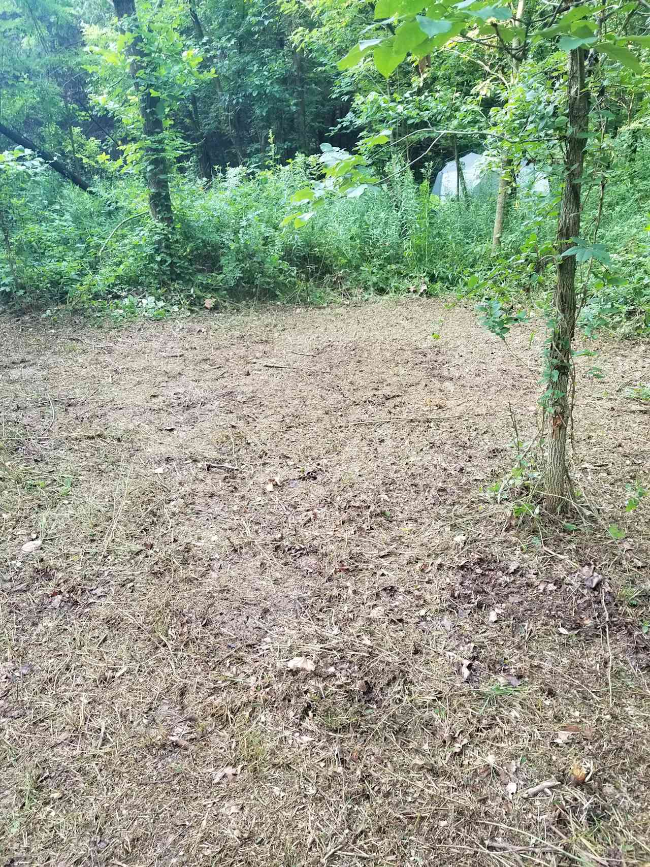 Squatch Hills