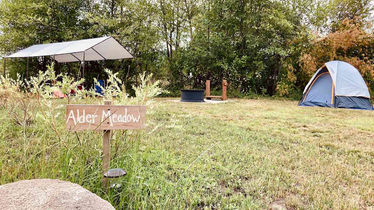 Alder Meadow camp area
