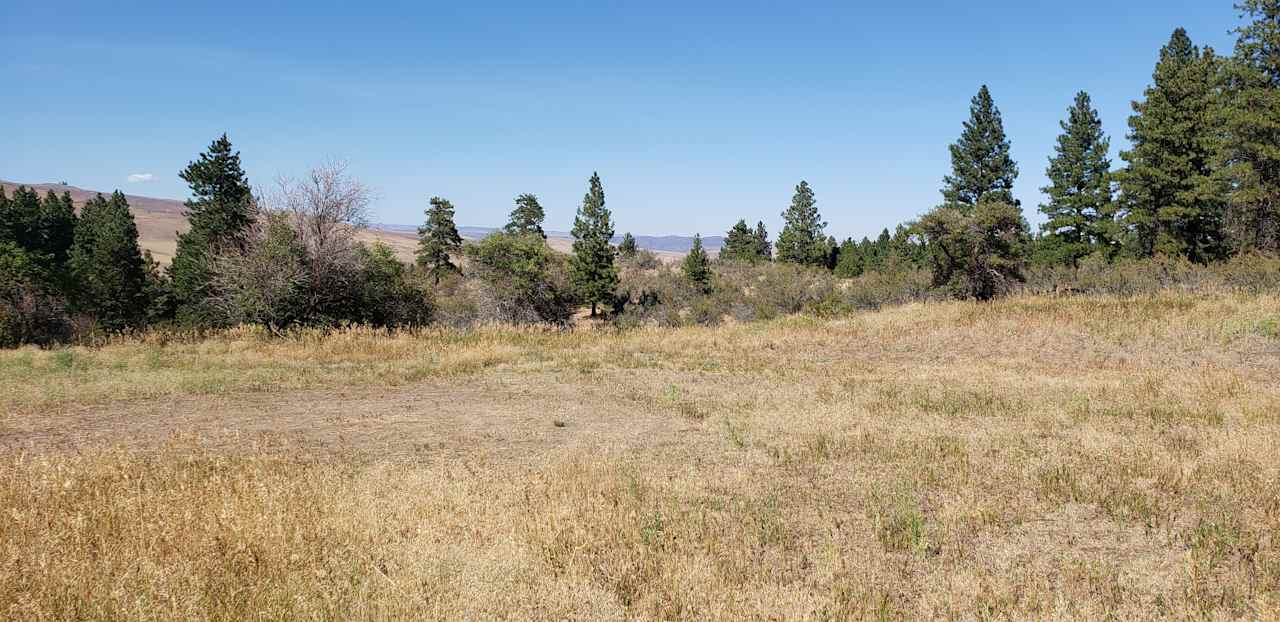 Colockum Wildlife Camp
