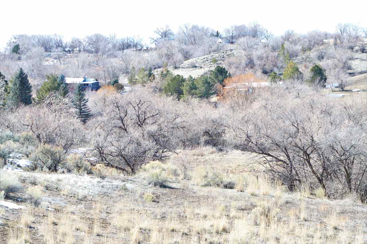 A view On6Acres
