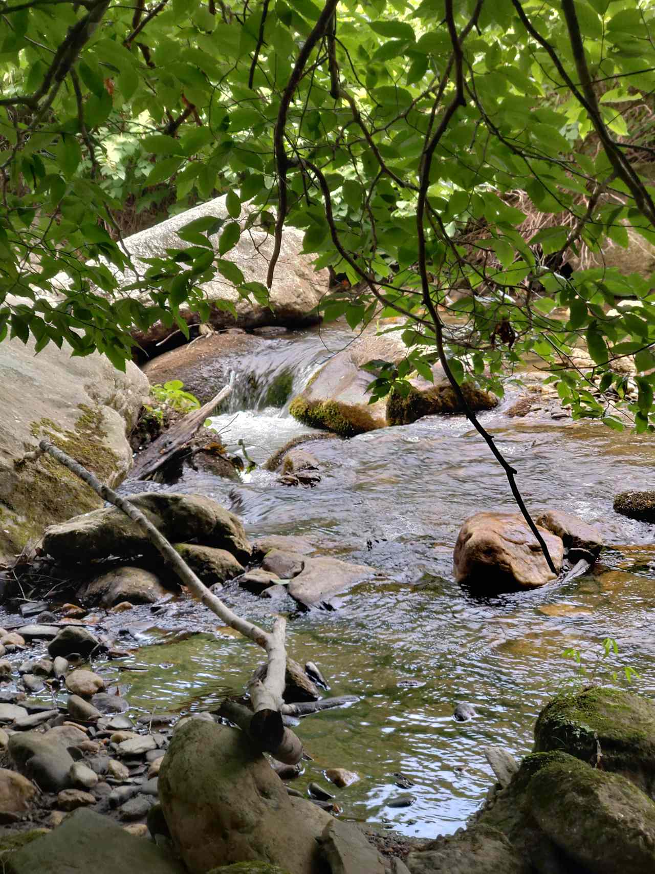 waterfalls of various sizes abound