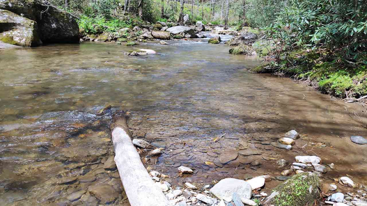 Rejuvenation River & Mtn Campsite