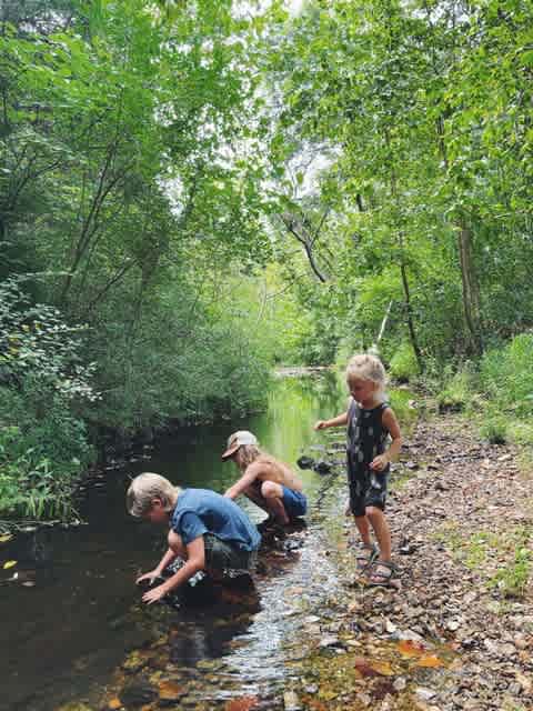Wildflower Camp, Hike + Swim