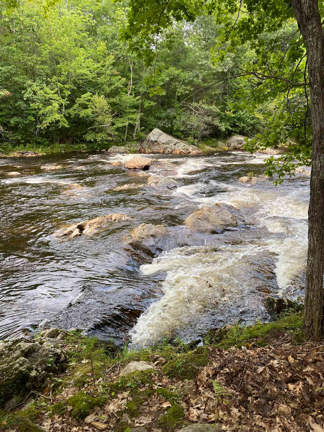 The falls