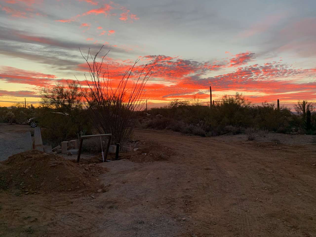Saguaro national monument west