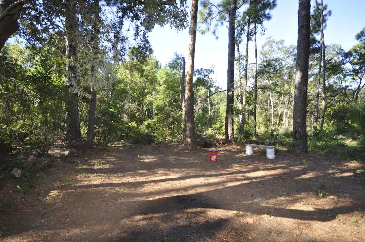 Pine forest, 5 minutes to the beach