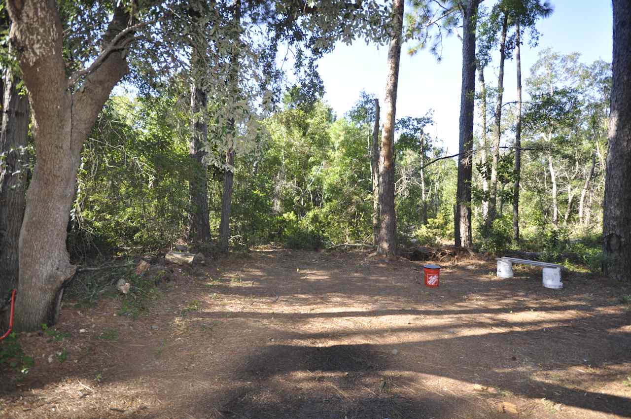 Pine forest, 5 minutes to the beach