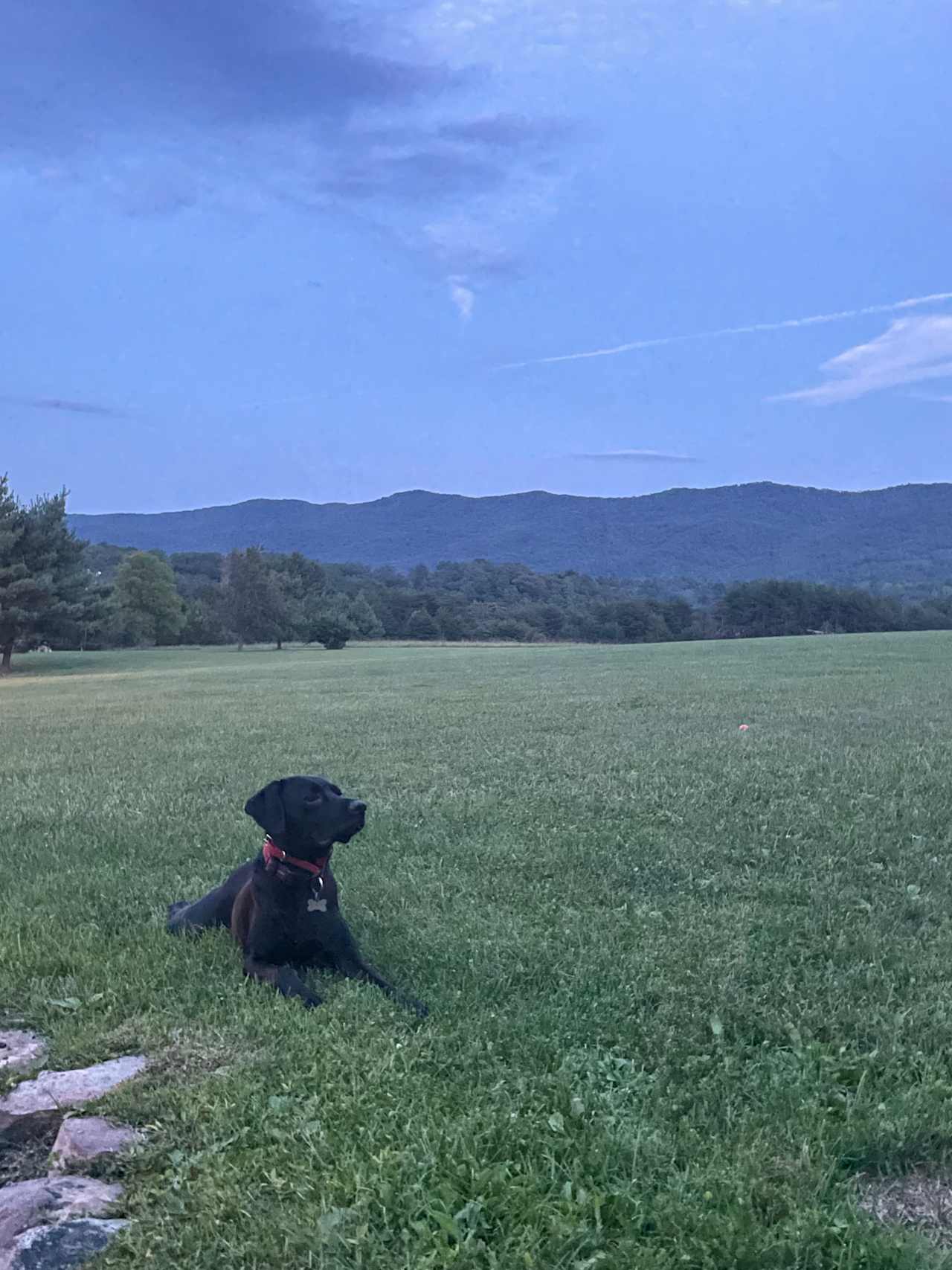 Camp Shenandoah Meadows