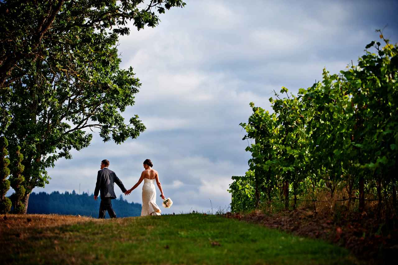 Zenith Vineyard Camping