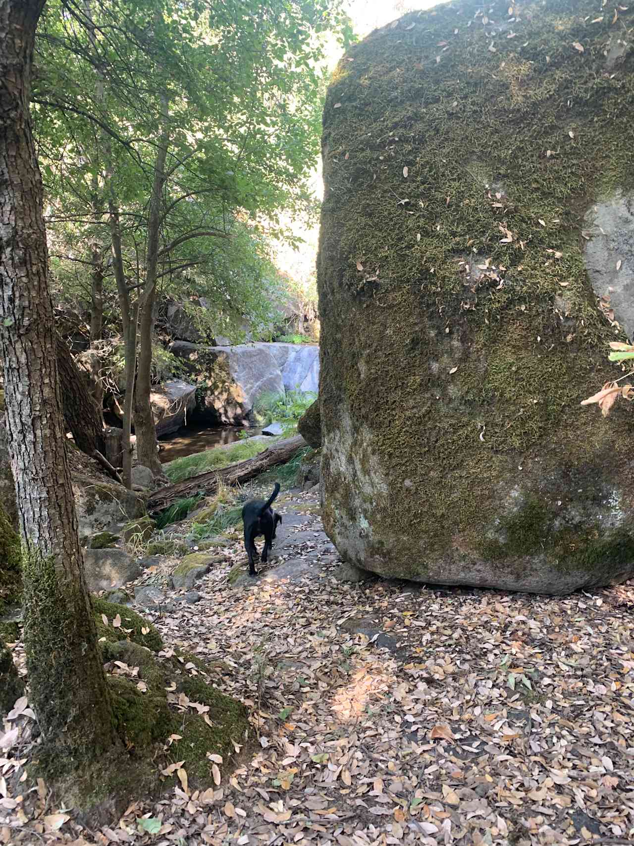 Hidden Falls Yosemite Camp