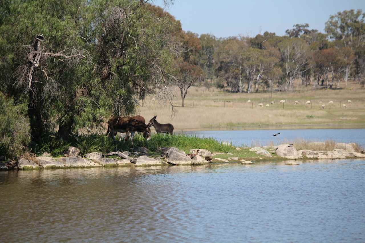 Picnic at the dam