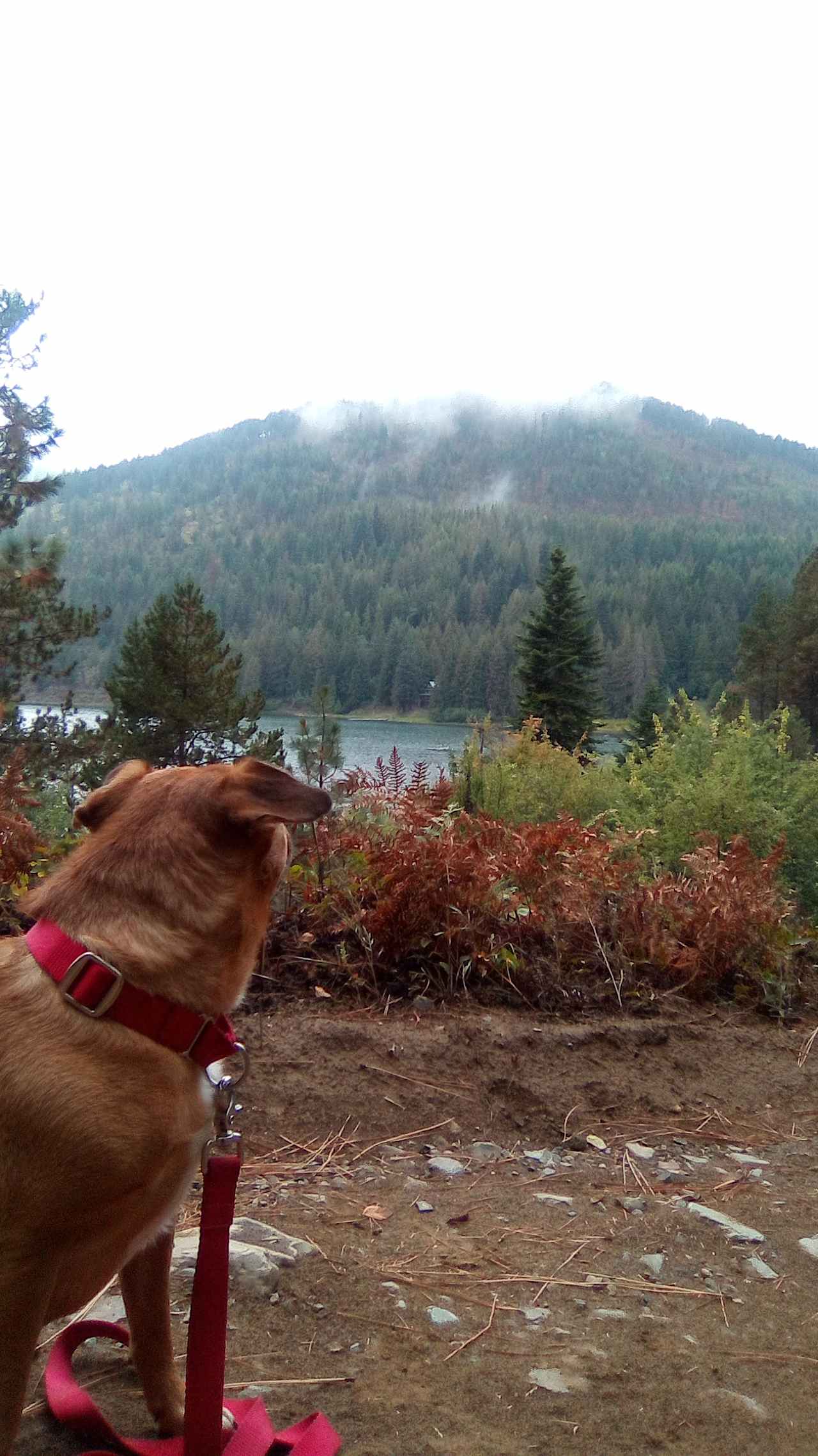 Paradise on Mirror Lake