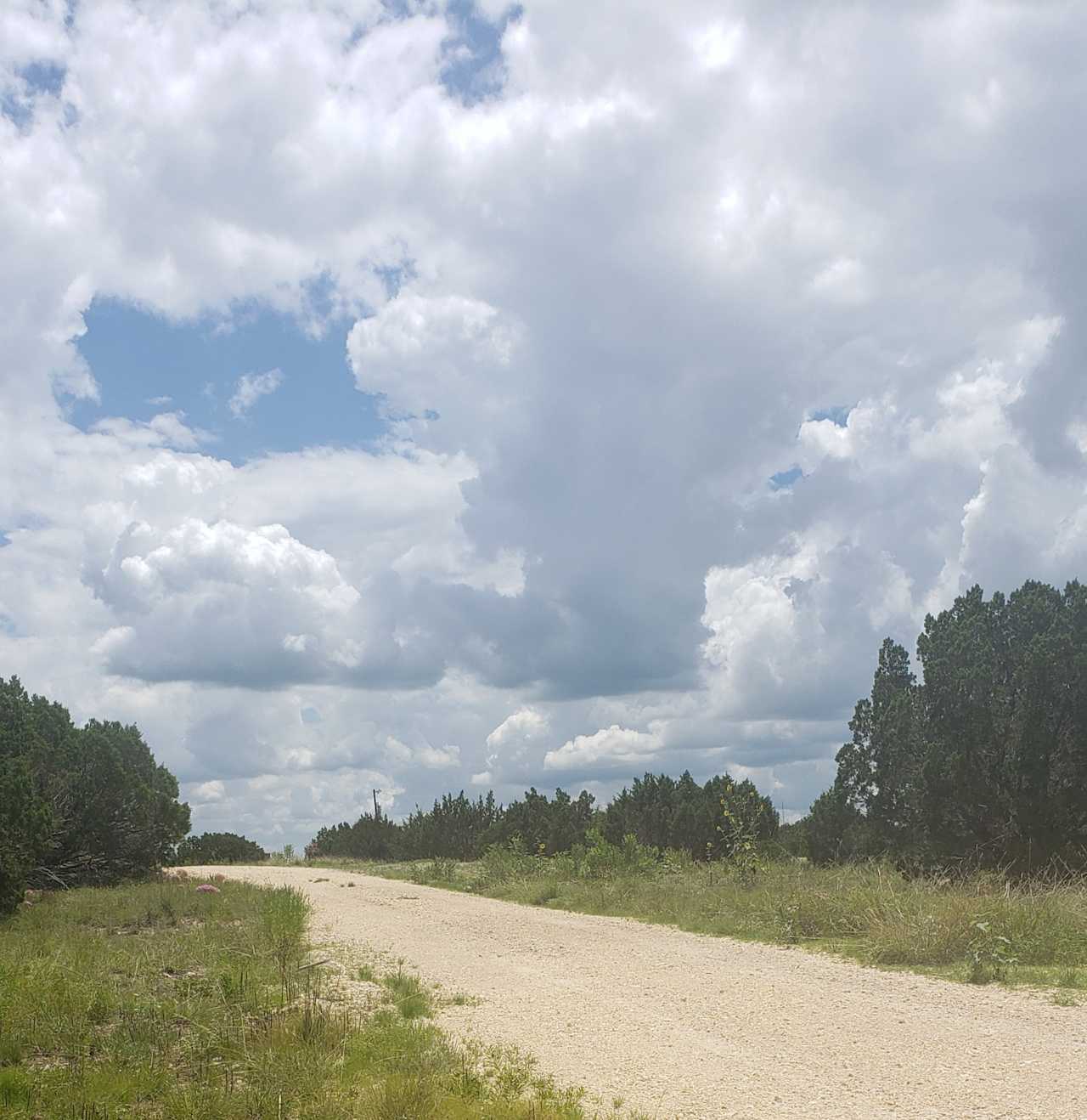 Fossil Bed Camp