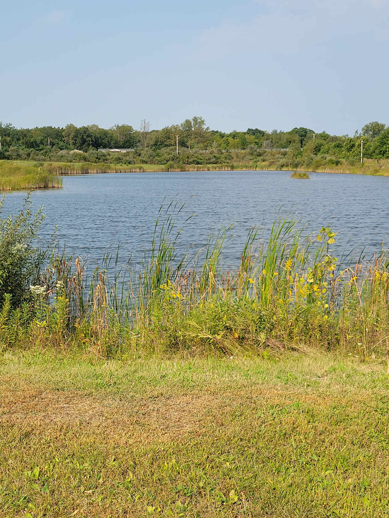 Beautiful pond.