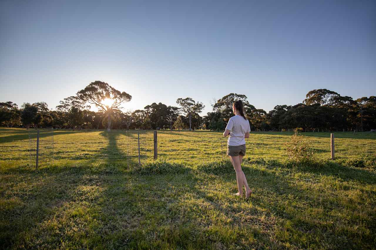 Stunning spring sunrise at Wagon Flat