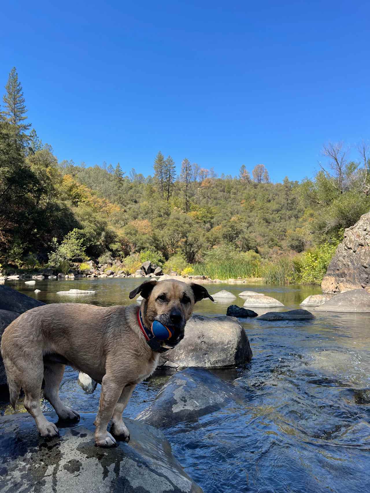 Private River Oasis