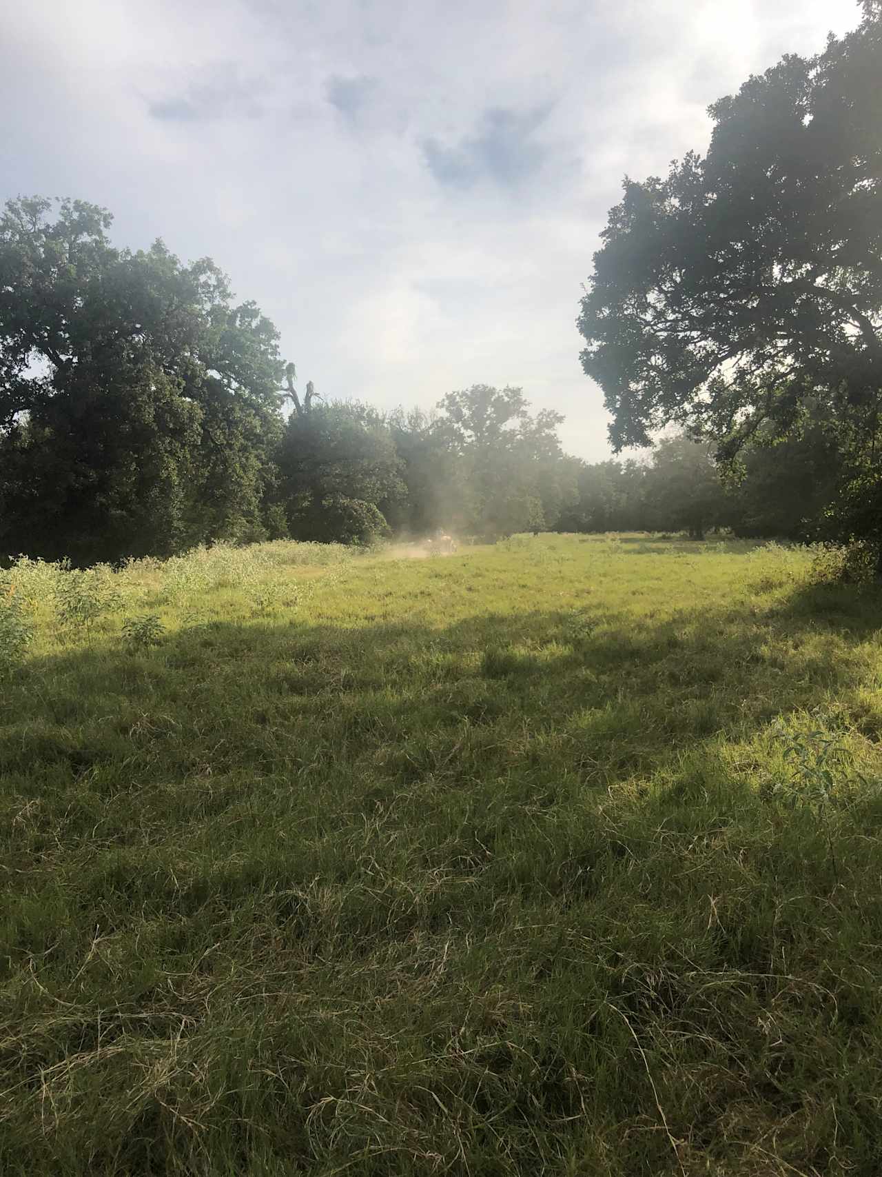 Camp by woods or  in pasture 
