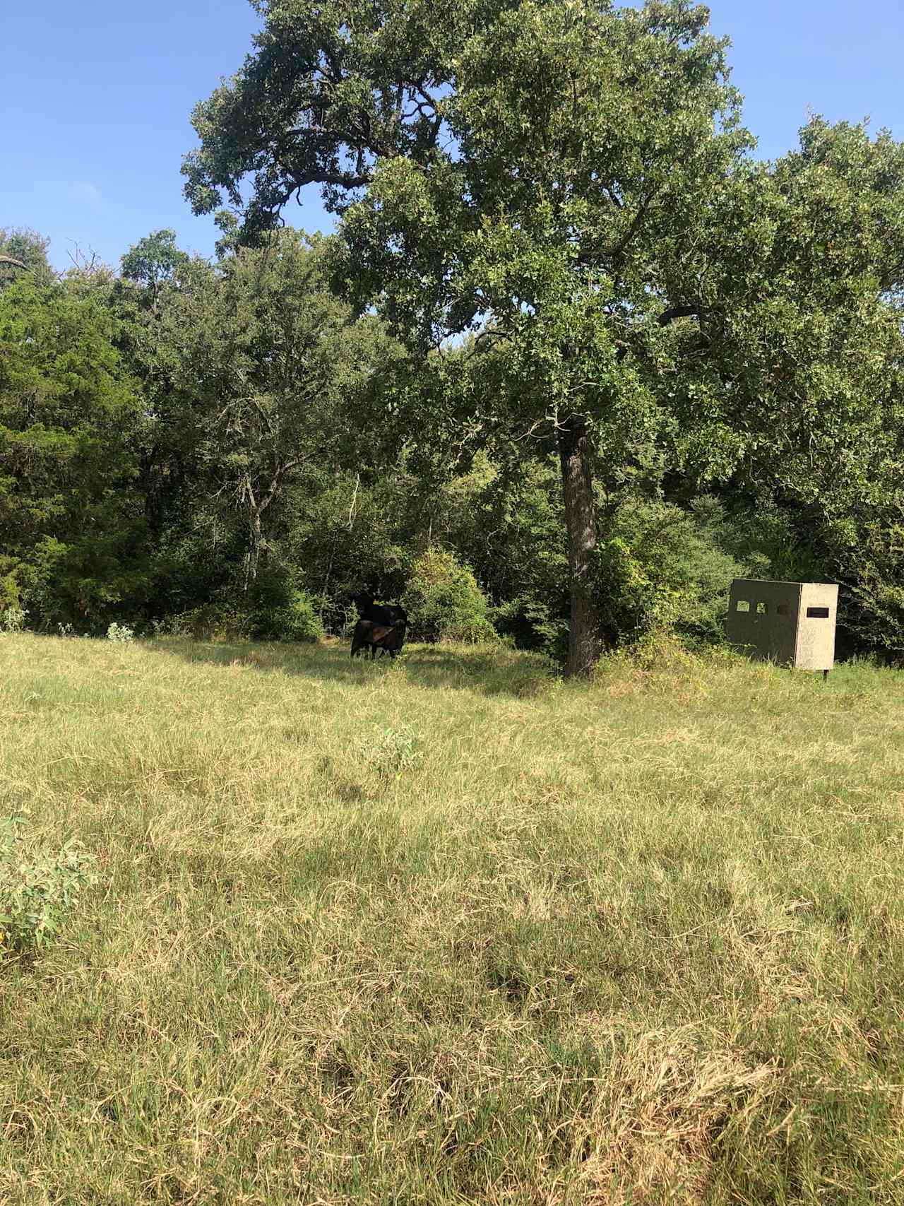 BJAllen’s Primitive Family Camping 