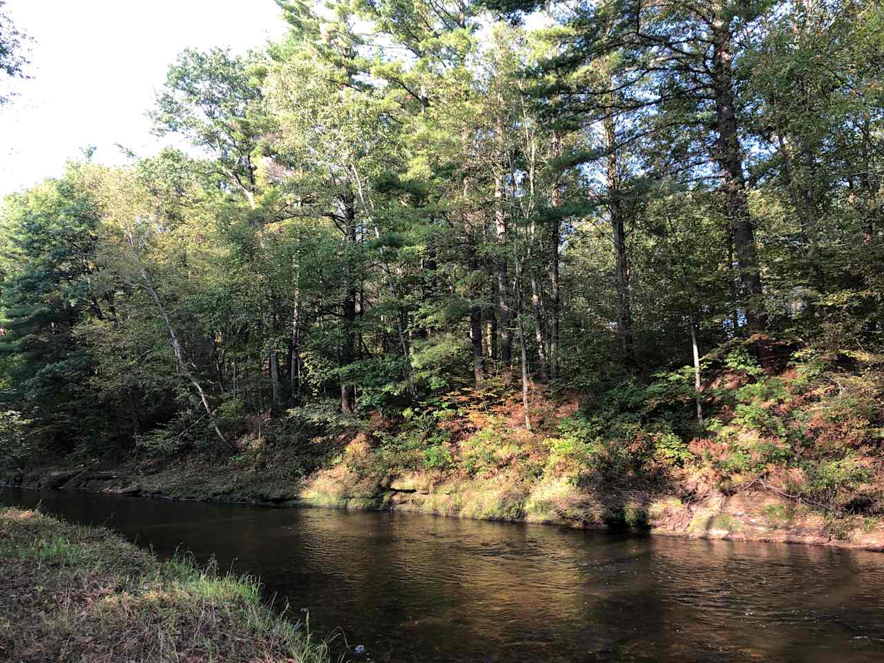 Bronzeback Creek Camp