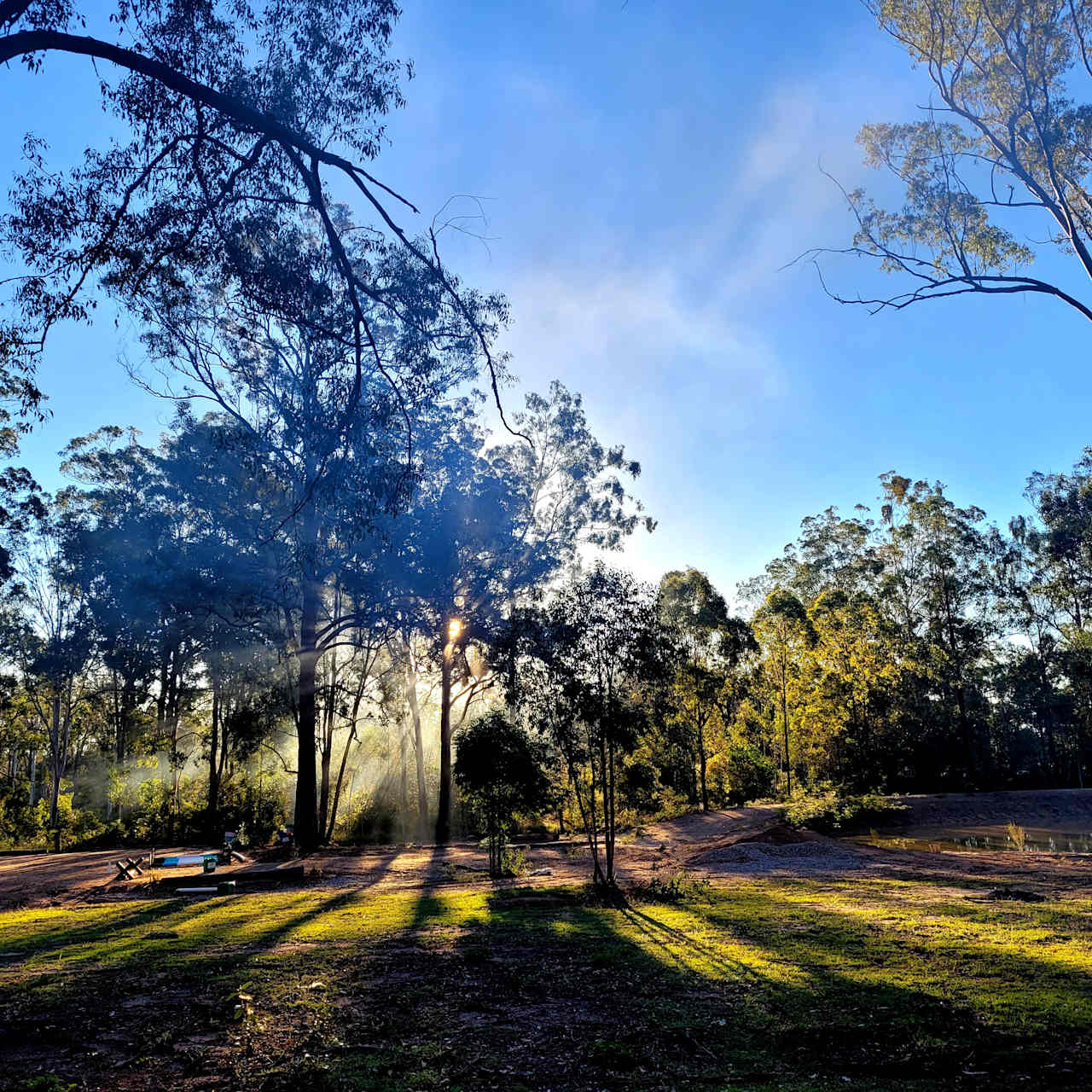 The Croft Horse Trax Oz Blackbutt