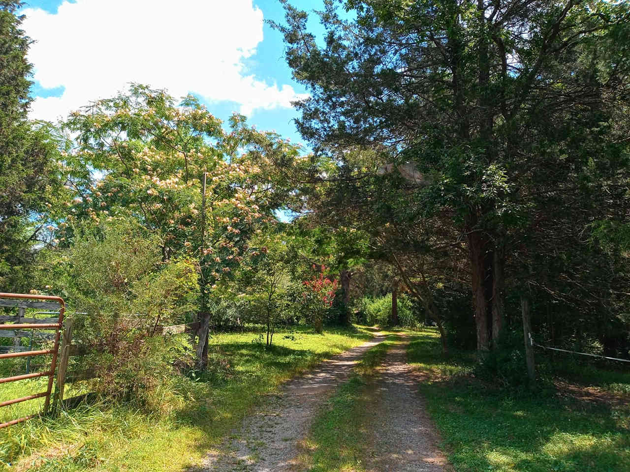 Giant Oaks Horse Farm