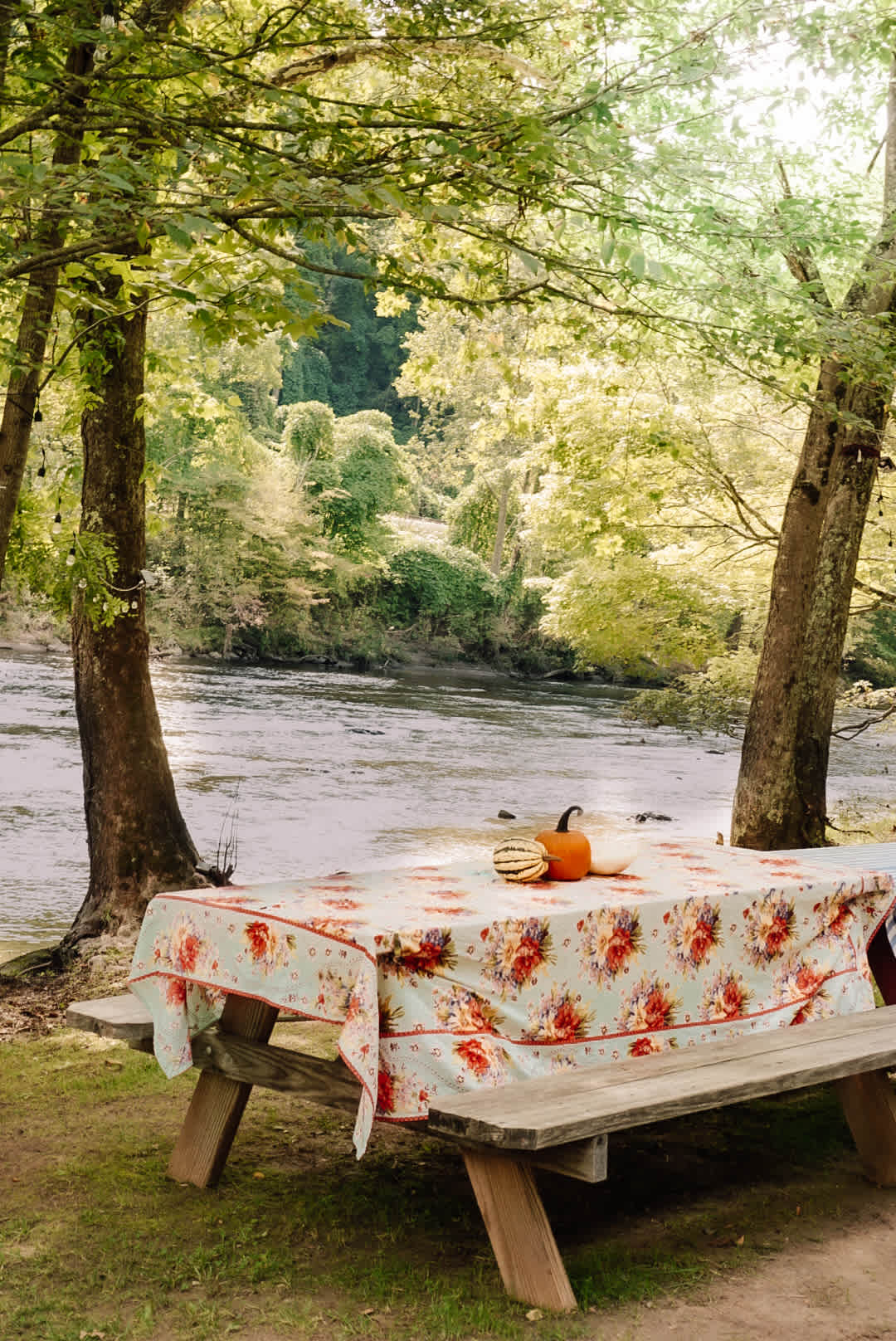 Two large picnic tables for dining and activities!