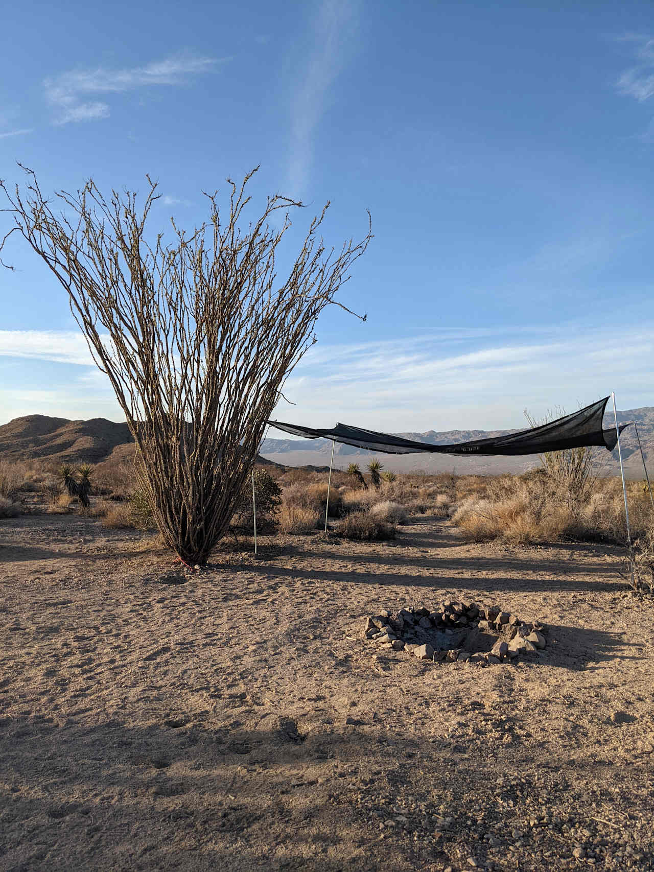 Joshua Tree Private Campsite