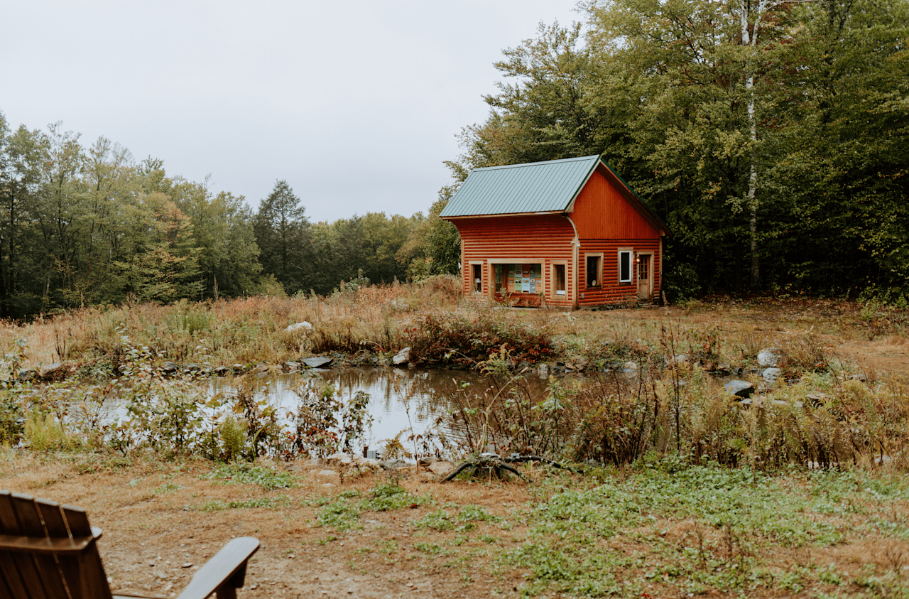 Salamander Hollow Healing Habitat