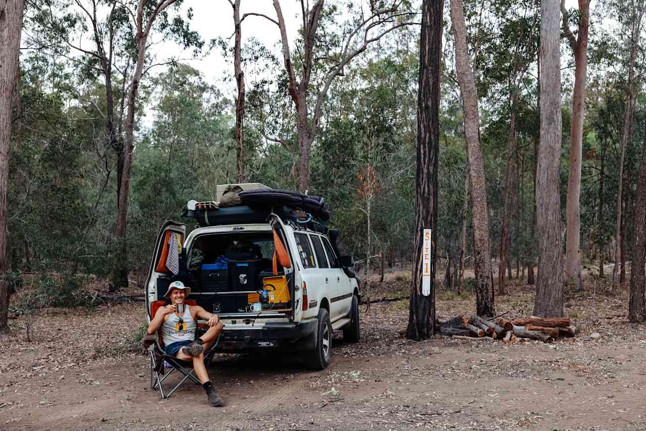 Back to the Bush