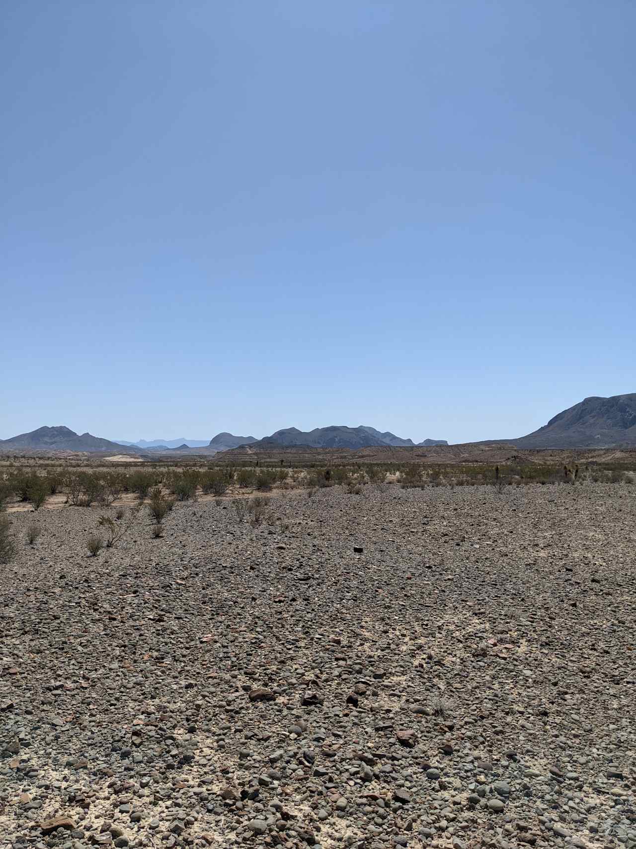 NoWhere Desert Paradise