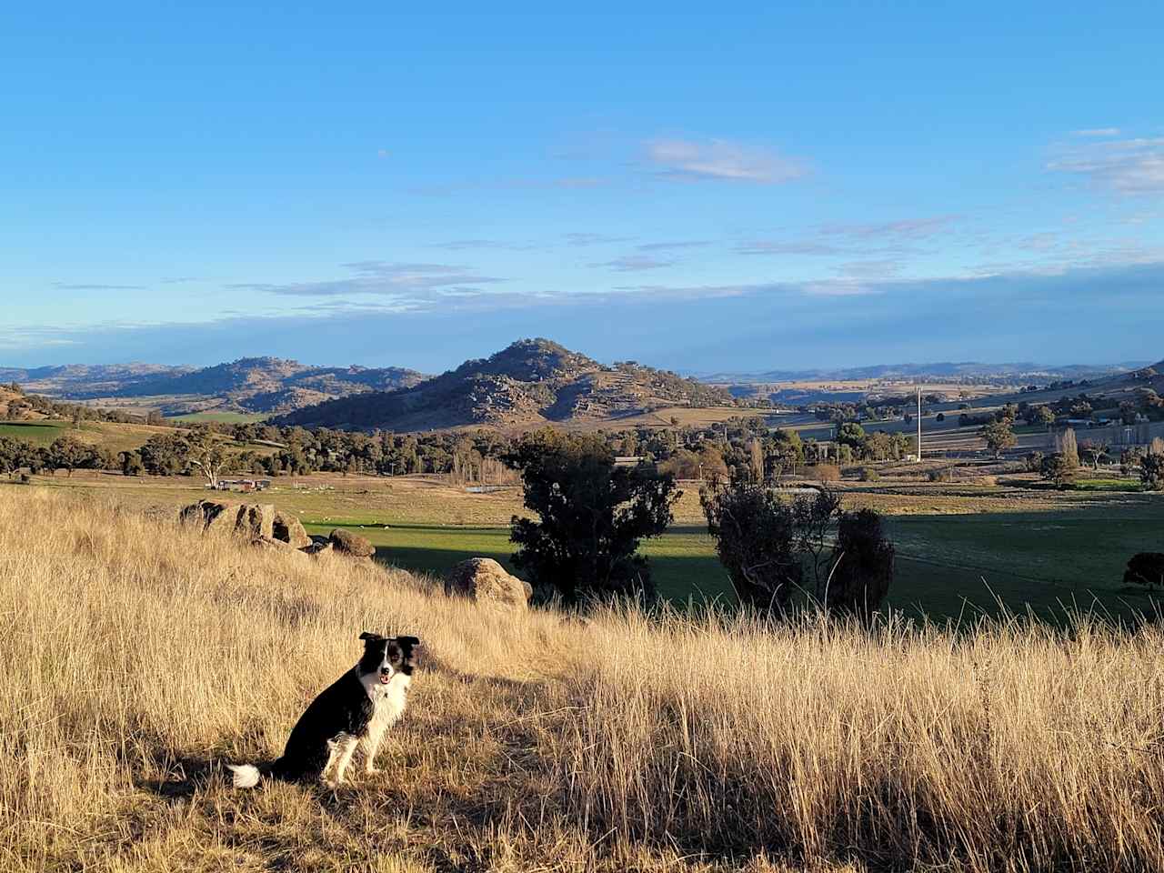 La Paloma