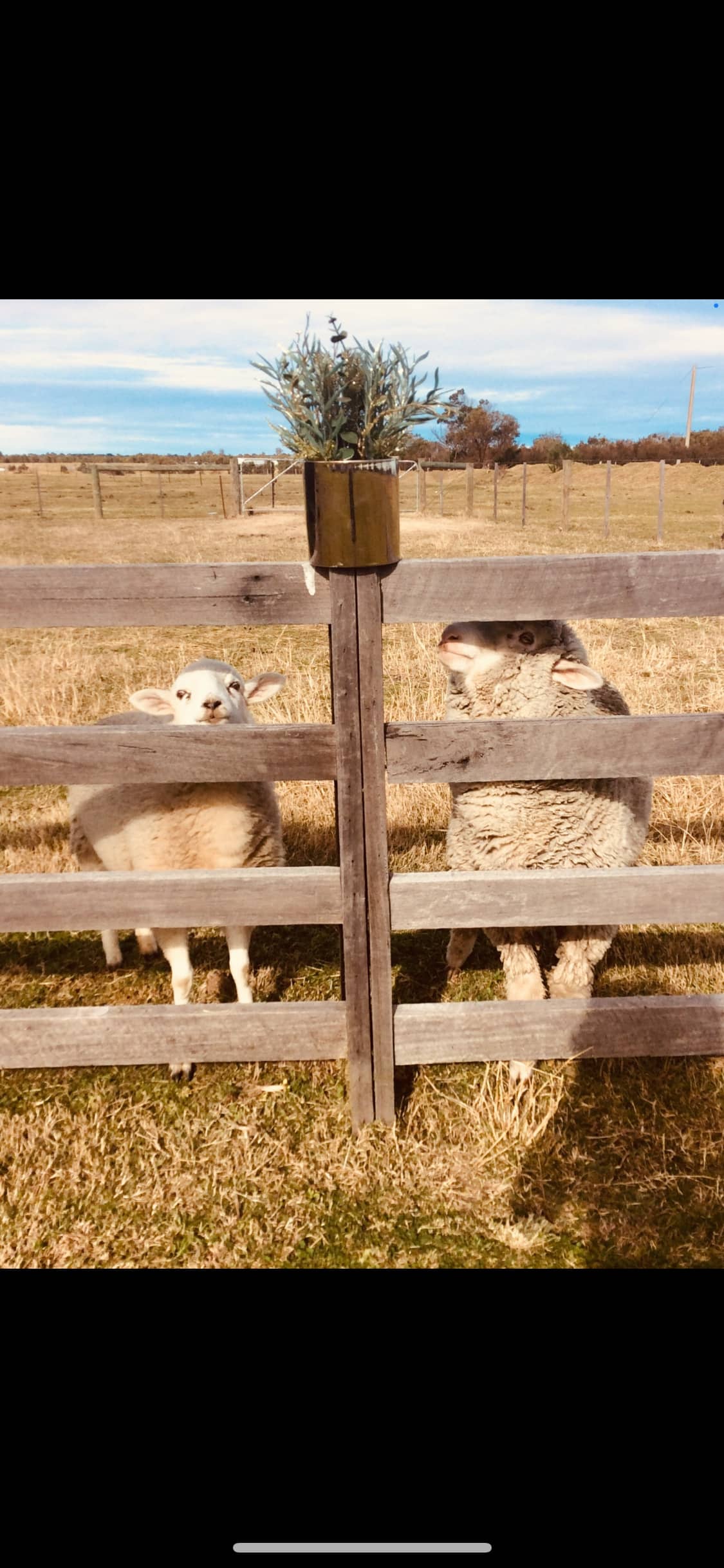 Forge Creek Farm Stay