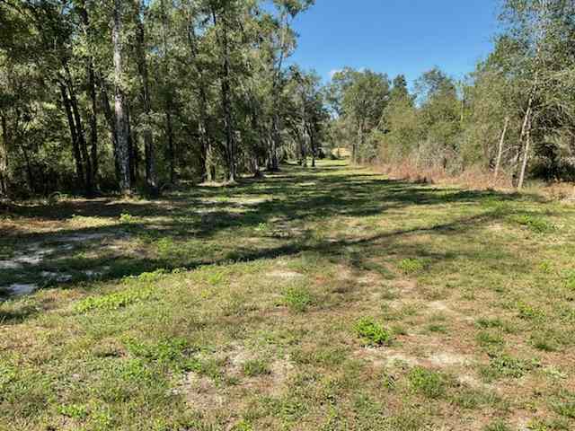 Ellaville Junction Primitive camp