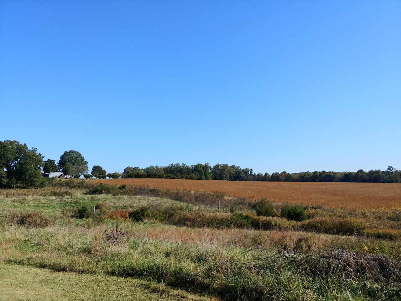 The Homestead