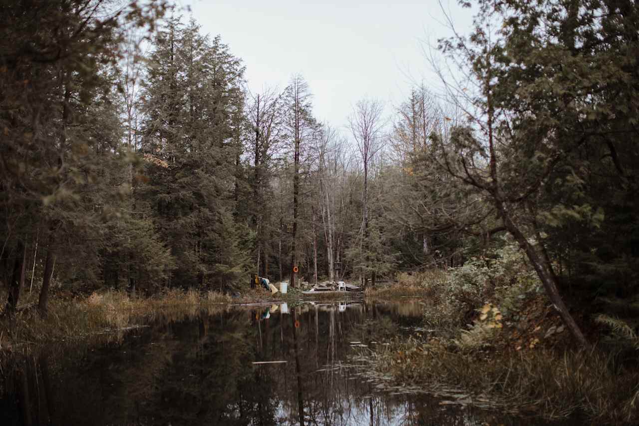 He's built in so many beautiful nature elements, including this pond which also has a well-groomed path around for walking.