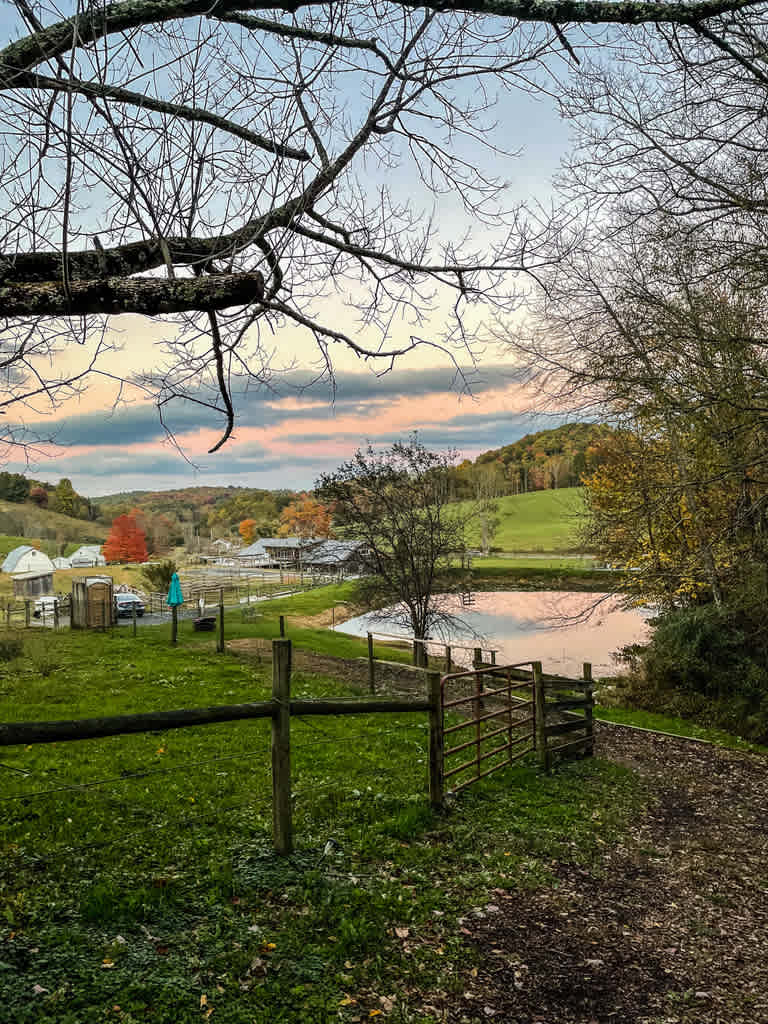 RugbyCreek Pet Friendly Rentals