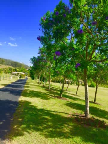 Sandy Creek Kilcoy Park Garden
