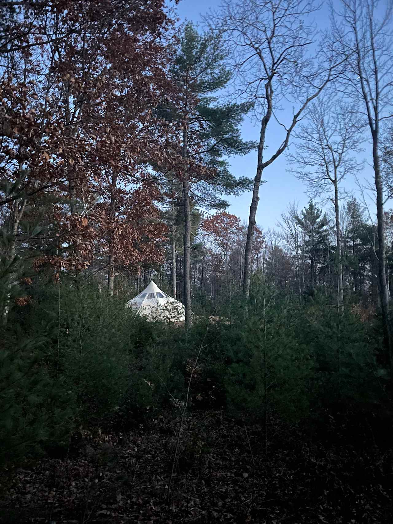 Private Forest with a View!