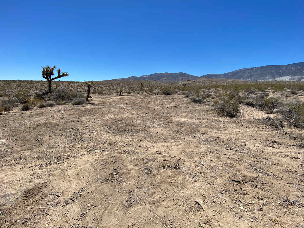 cleared camping space on property 6/21